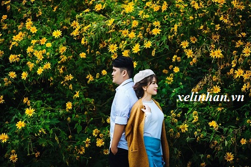 DÃ QUỲ - MÙA HOA CỦA NHỮNG KẺ MỘNG MƠ